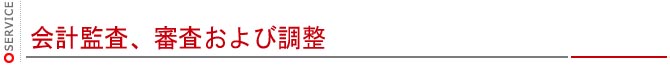 会計監査、審査および調整