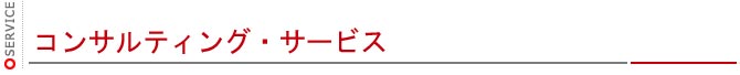 コンサルティング・サービス